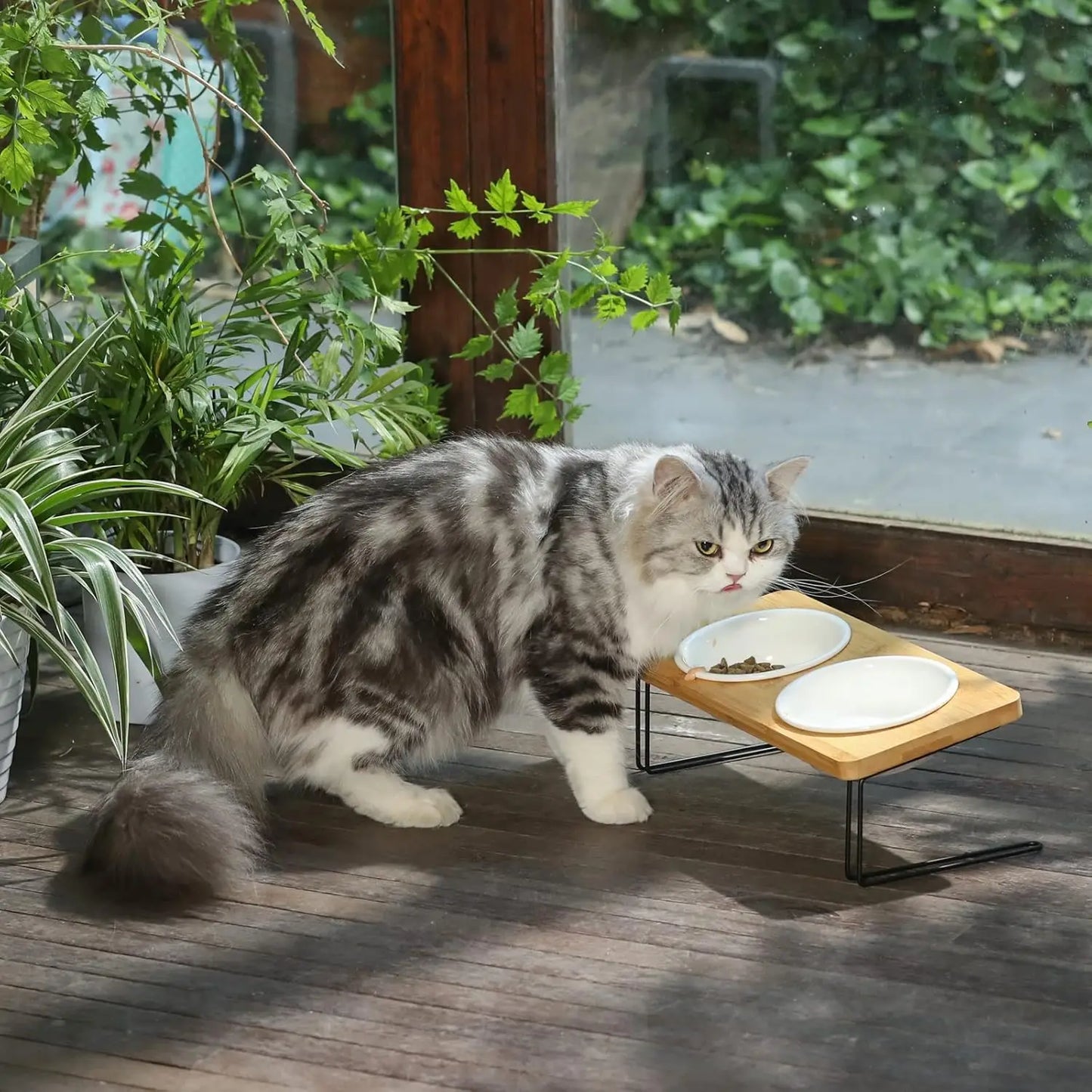 Hign-concerned Elevated Cat Ceramic Bowls Tilted Feeder Set For Cats