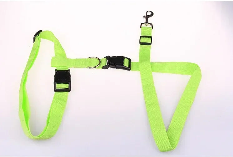 CN Guangdong Adjustable Dog Cat Leash Jogging Belt Lead WeatherproofHeavyDutyNylon