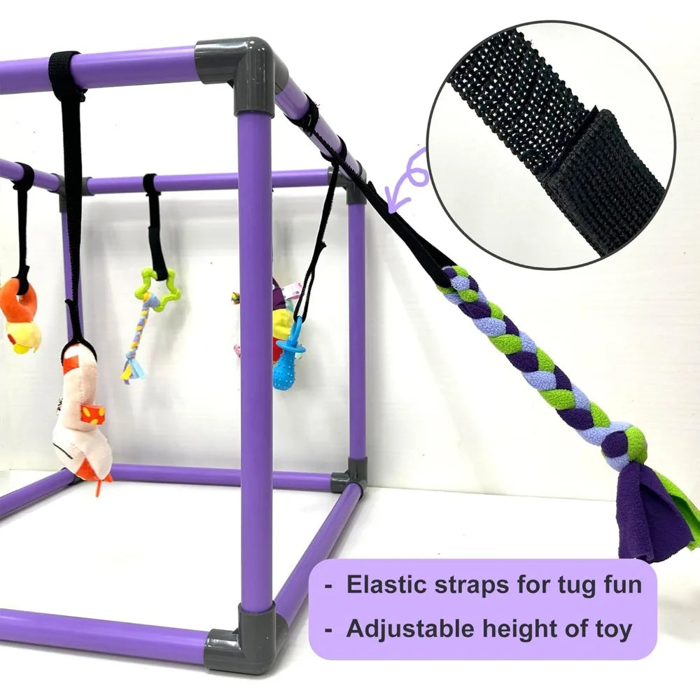 Hign-concerned Puppy Play Gym With Hanging Toys For Small Dogs