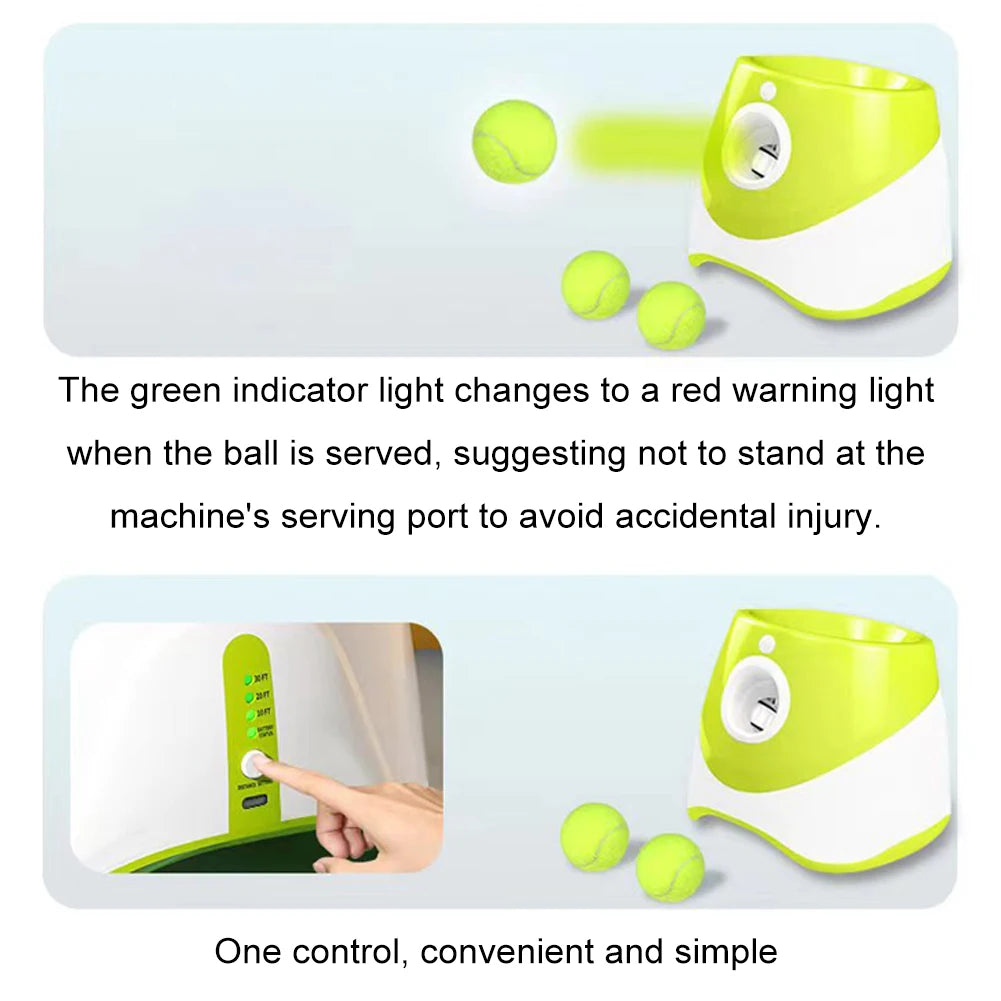 Pet Prime Automatic Dog Ball Launcher With 3 Balls