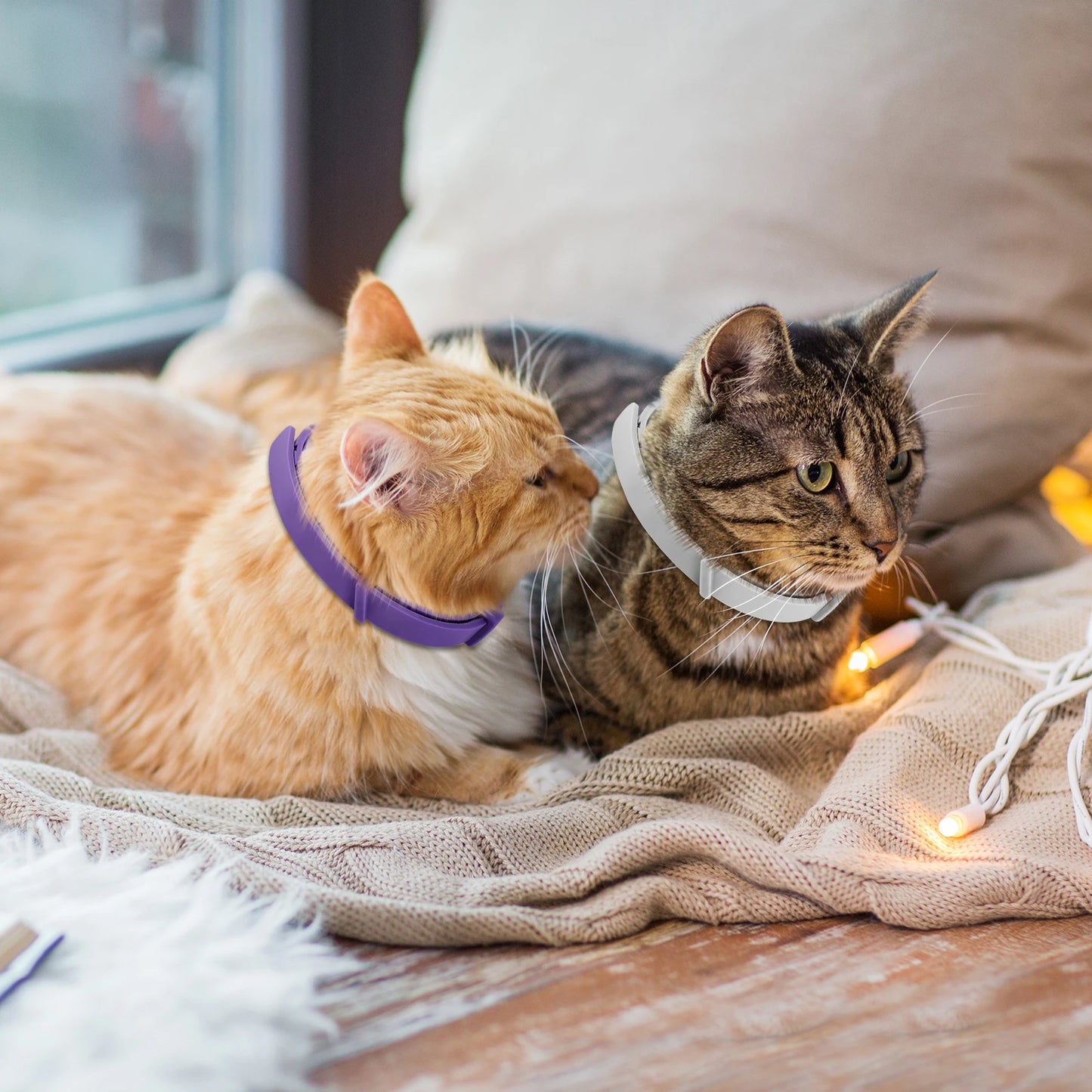 Shunmaii Cat Calming Collars Pheromone Pack Anti Anxiety