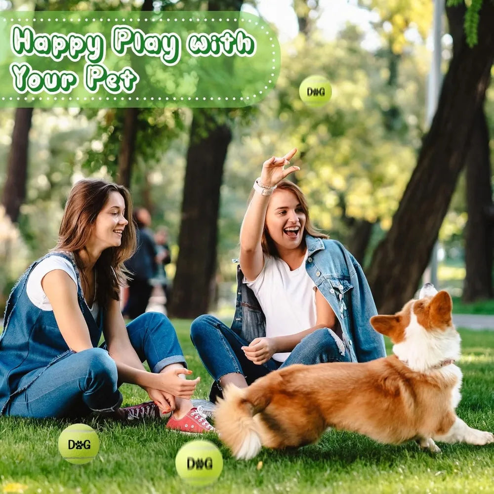 40 Pack Tennis Balls Dog Toys Bulk With Carrying Bags