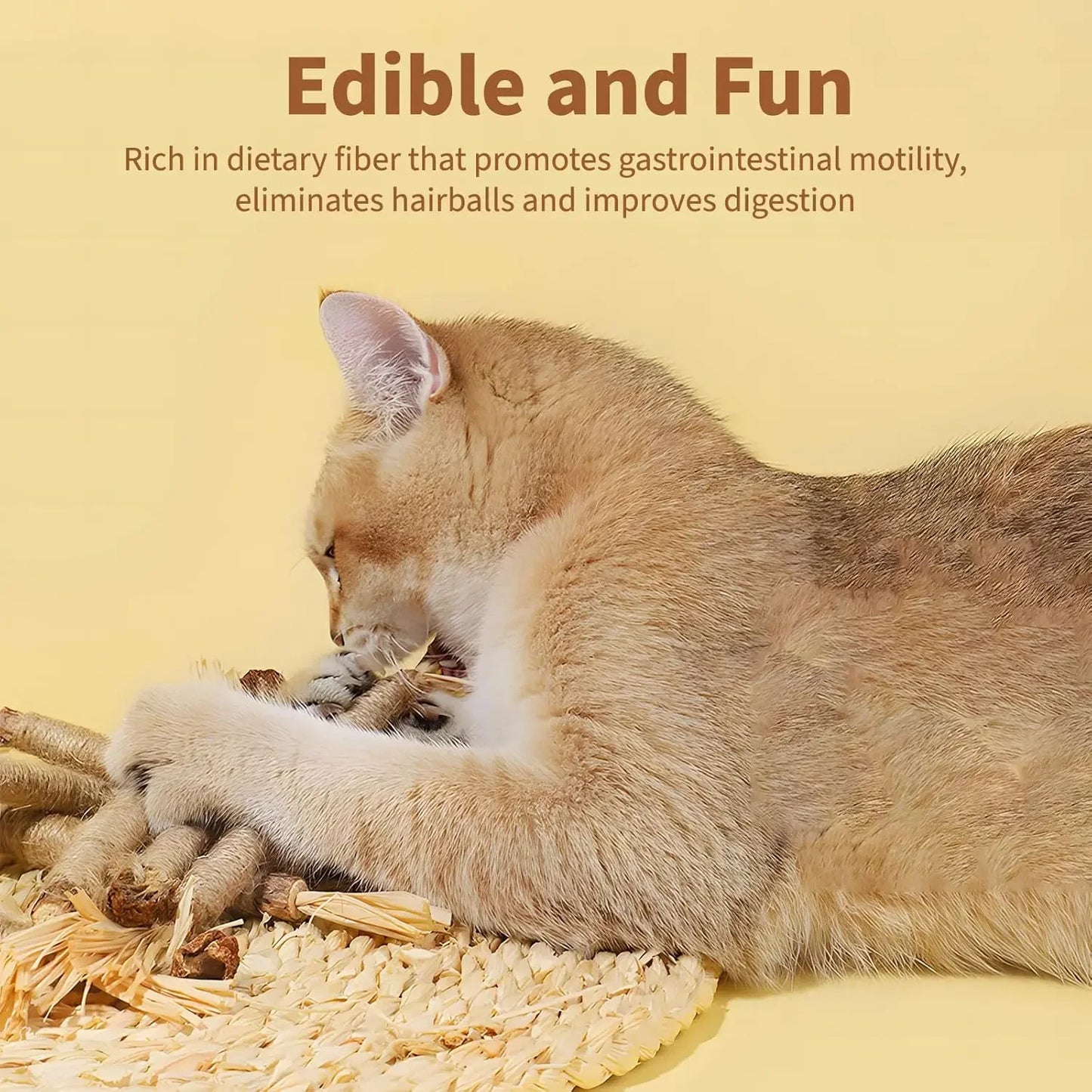 CN Silvervine Cat Chew Sticks Natural Dental Toy For Kittens