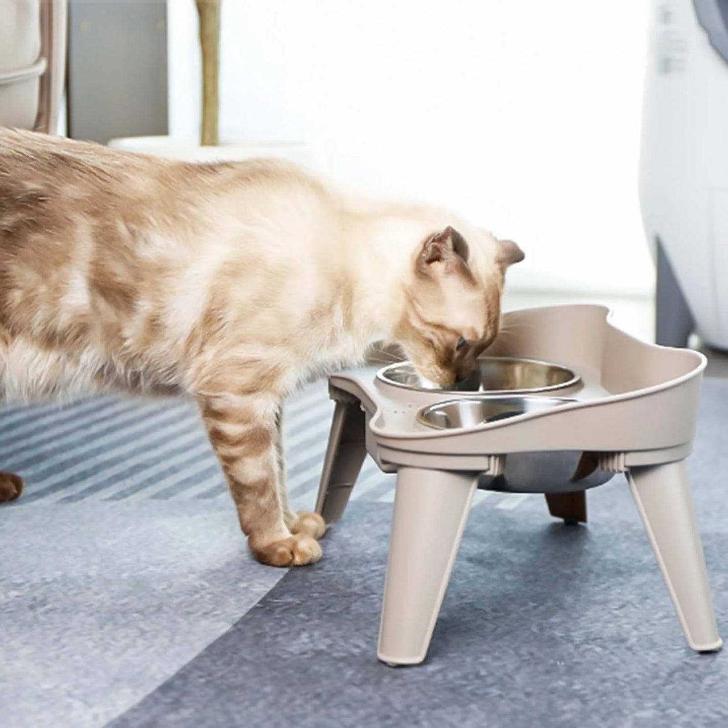 Hign-concerned Elevated Dog Feeder Stainless Steel No Spill Design