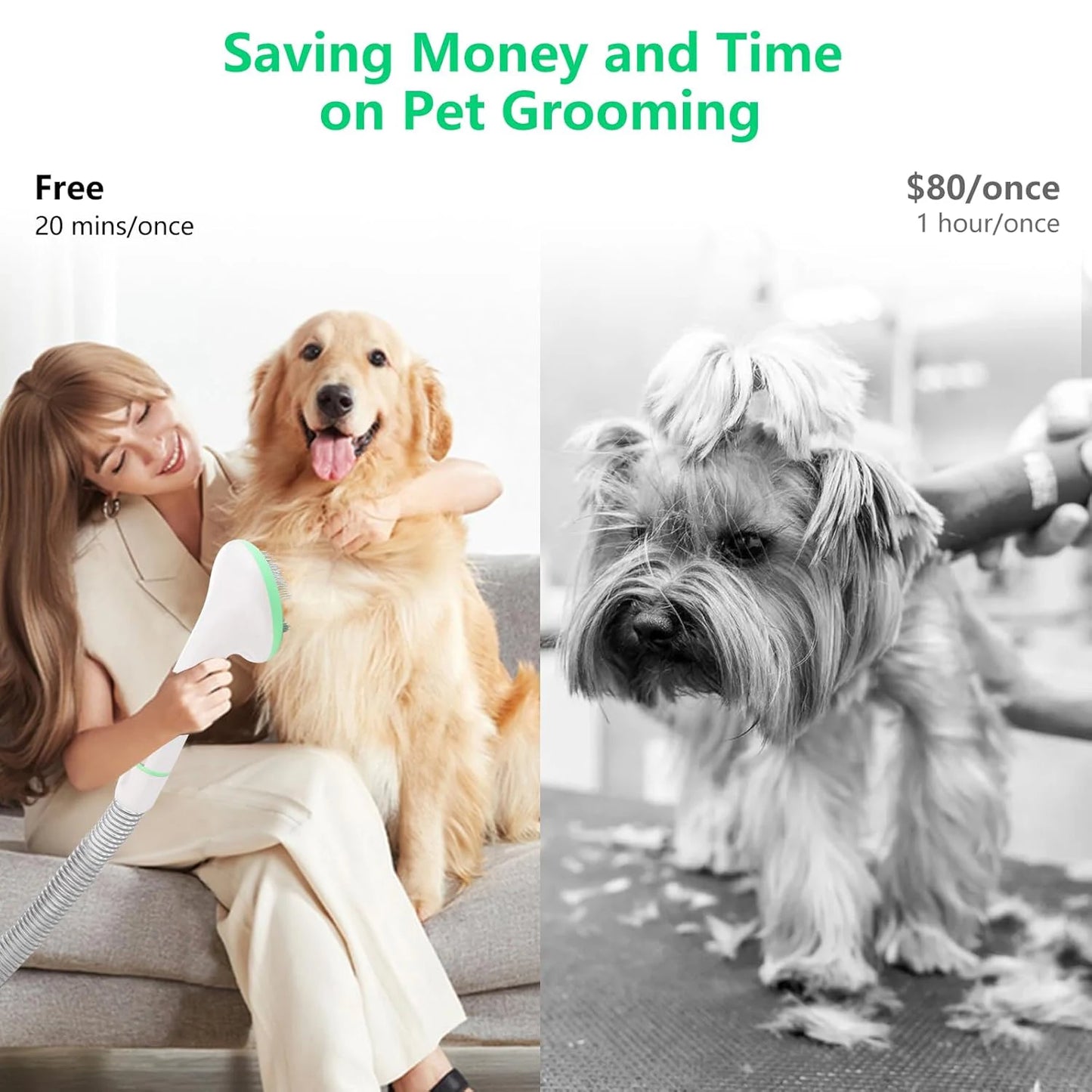 DishyKooker Pet Grooming Kit With 2L Vacuum Suction Tools