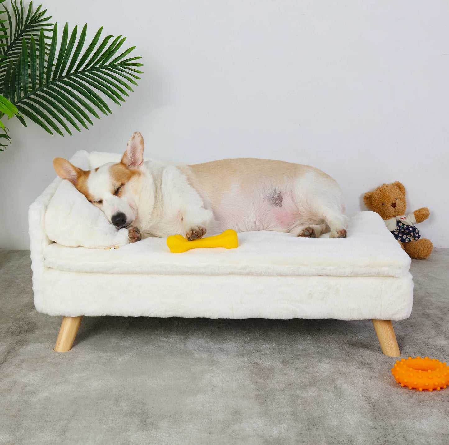 BINGOPAWCN Elevated Nordic Pet Stool Bed With Cozy Pad