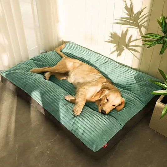 Guangdong Soft Sleeping Nest Dog Bed Removable Washable
