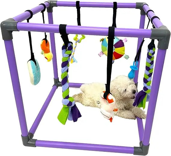 Hign-concerned Puppy Play Gym With Hanging Toys For Small Dogs