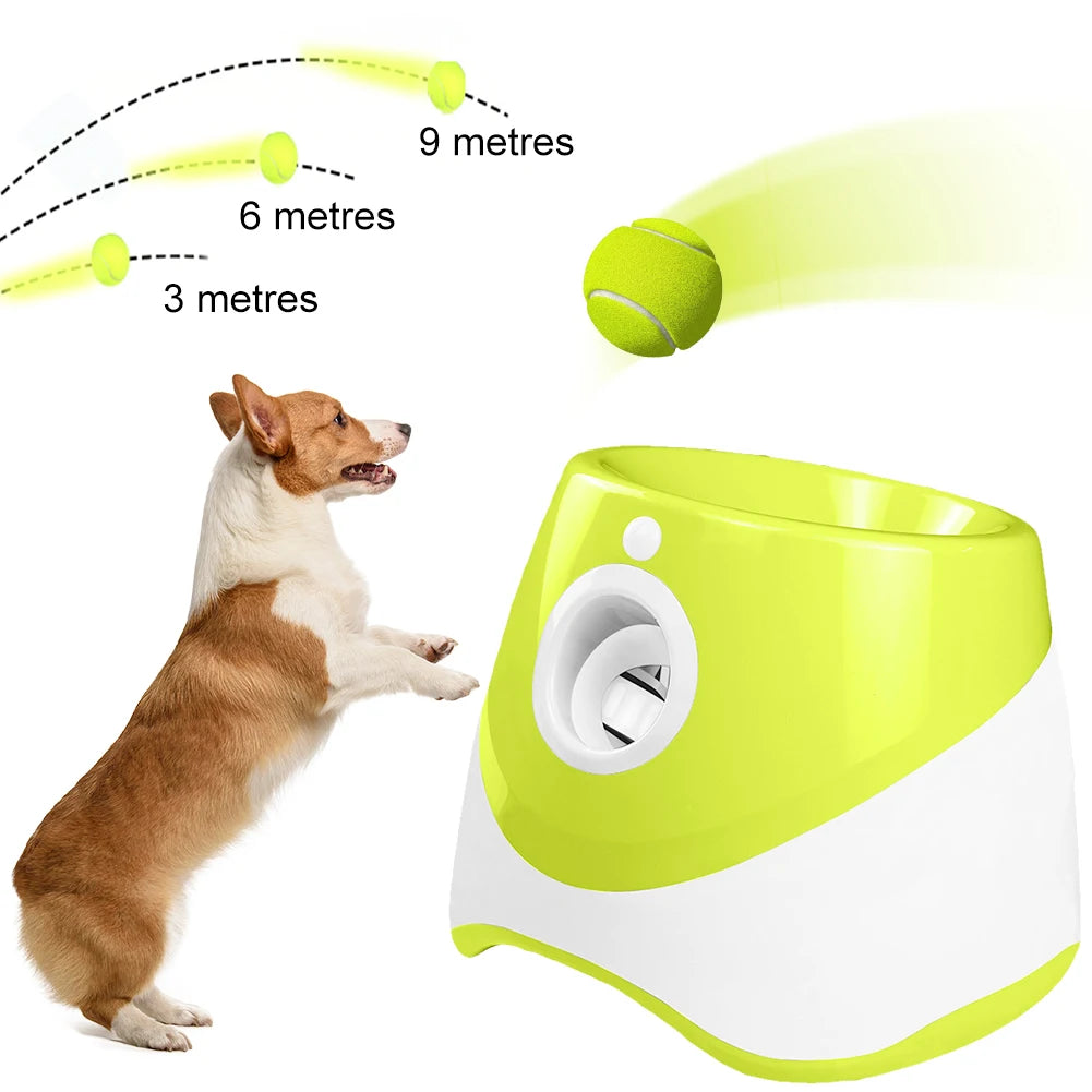 Pet Prime Automatic Dog Ball Launcher With 3 Balls