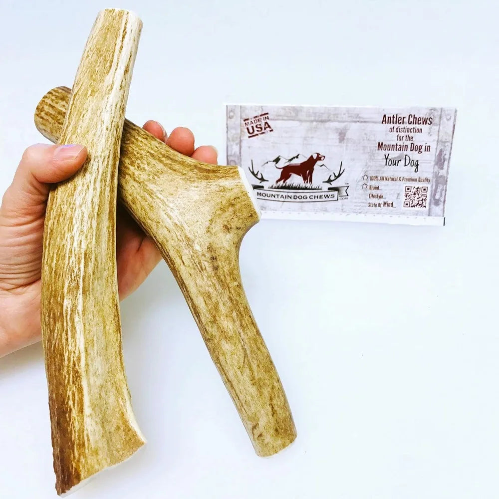 Flavor Elk Antler Dog Chew 2 Pack Grade A Premium USA Made