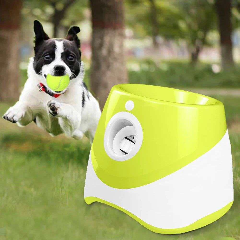 Pet Prime Automatic Dog Ball Launcher With 3 Balls