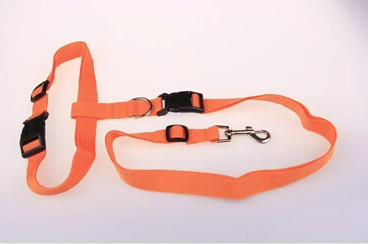 CN Guangdong Adjustable Dog Cat Leash Jogging Belt Lead WeatherproofHeavyDutyNylon
