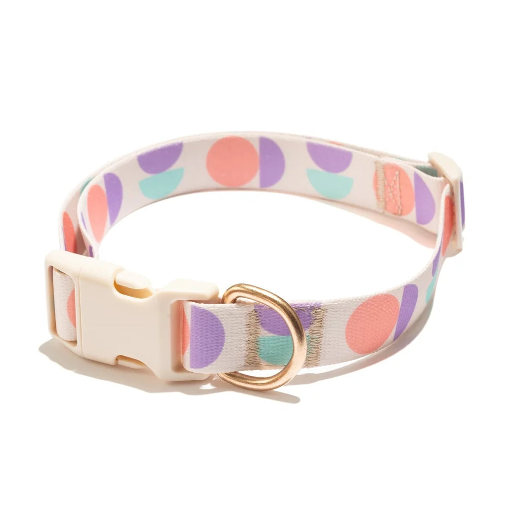 XMSJ Stylish Geometric Dog Collar Multicolor Abstract Print