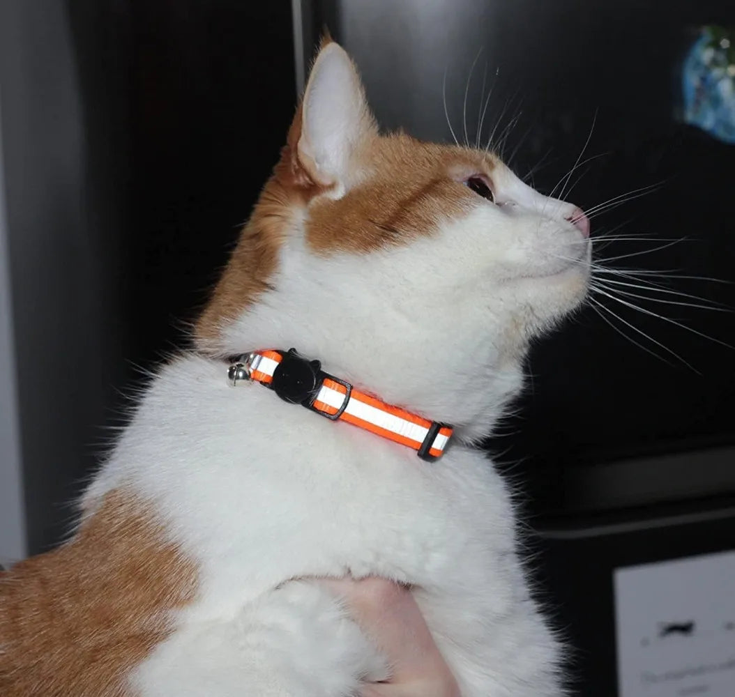 Hign-concerned Six Reflective Cat Collars With Bell And Breakaway Charms