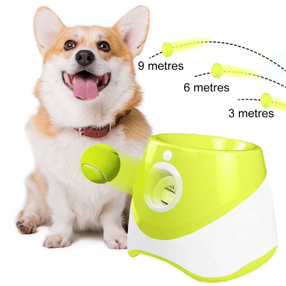 Pet Prime Automatic Dog Ball Launcher With 3 Balls