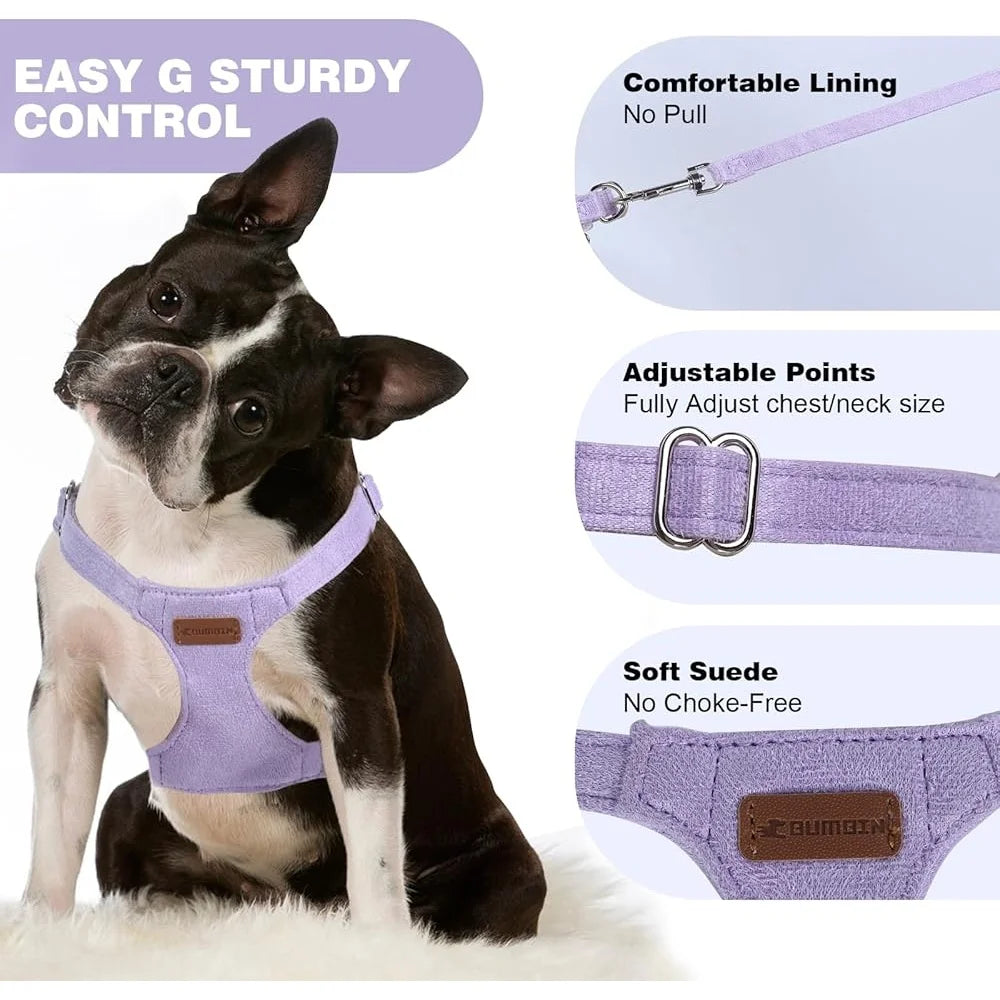 XMSJ No Pull Dog Harness Leash Set Soft Small Dogs