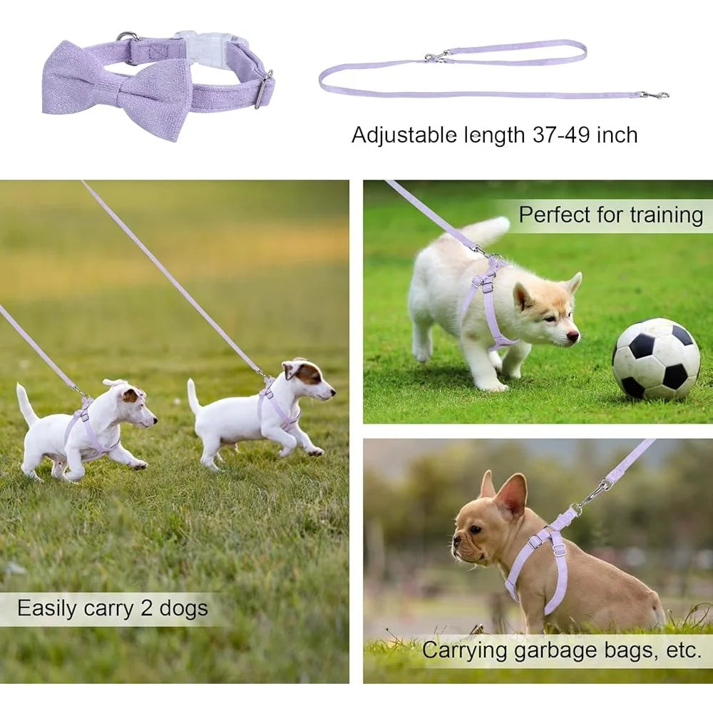 XMSJ No Pull Dog Harness Leash Set Soft Small Dogs