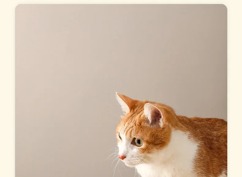 Ceramic Slow Feeder Pet Bowl For Cats And Dogs Anti Choke