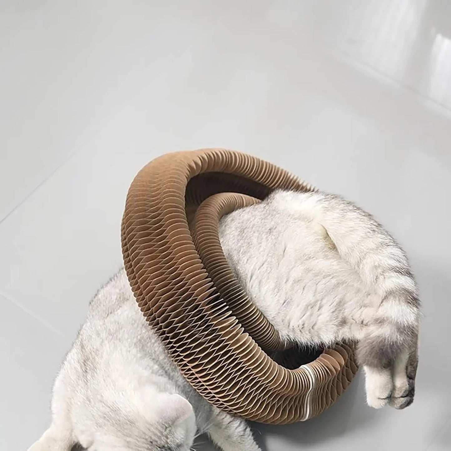 Kitty Kurlz Accordion Cat Scratching Board Toy