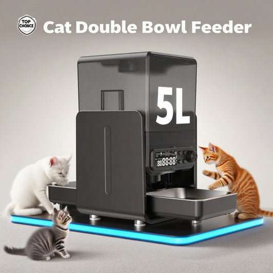 Cityflee Smart Pet Feeder Automatic With Timed Feeding