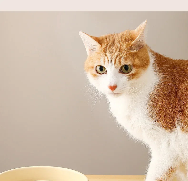 Ceramic Slow Feeder Pet Bowl For Cats And Dogs Anti Choke