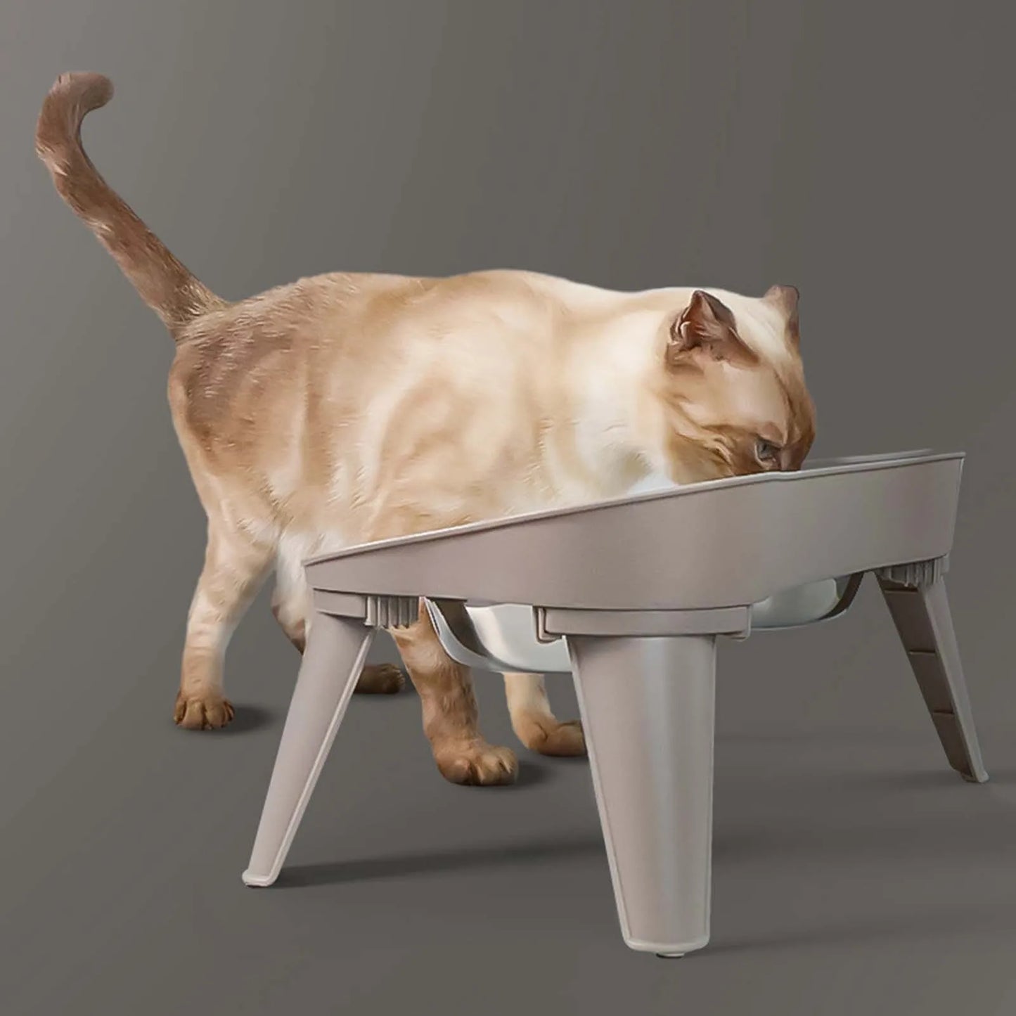 Hign-concerned Elevated Dog Feeder Stainless Steel No Spill Design