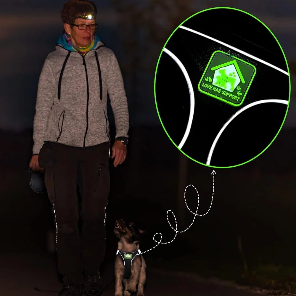 XMSJ 6-Piece Dog Harness Set With Retractable Leash Bowknot Collars