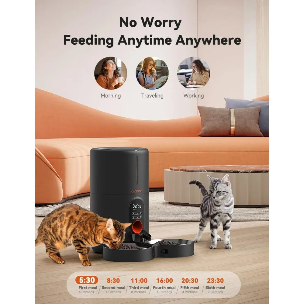 Automatic Pet Feeder With Dual Bowls, Programmable Meals And Voice Recording