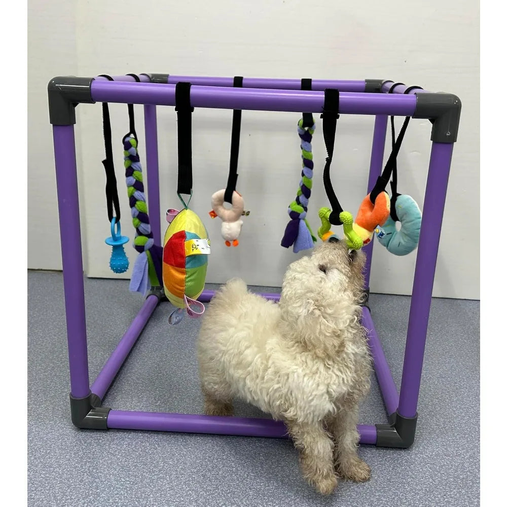 Hign-concerned Puppy Play Gym With Hanging Toys For Small Dogs