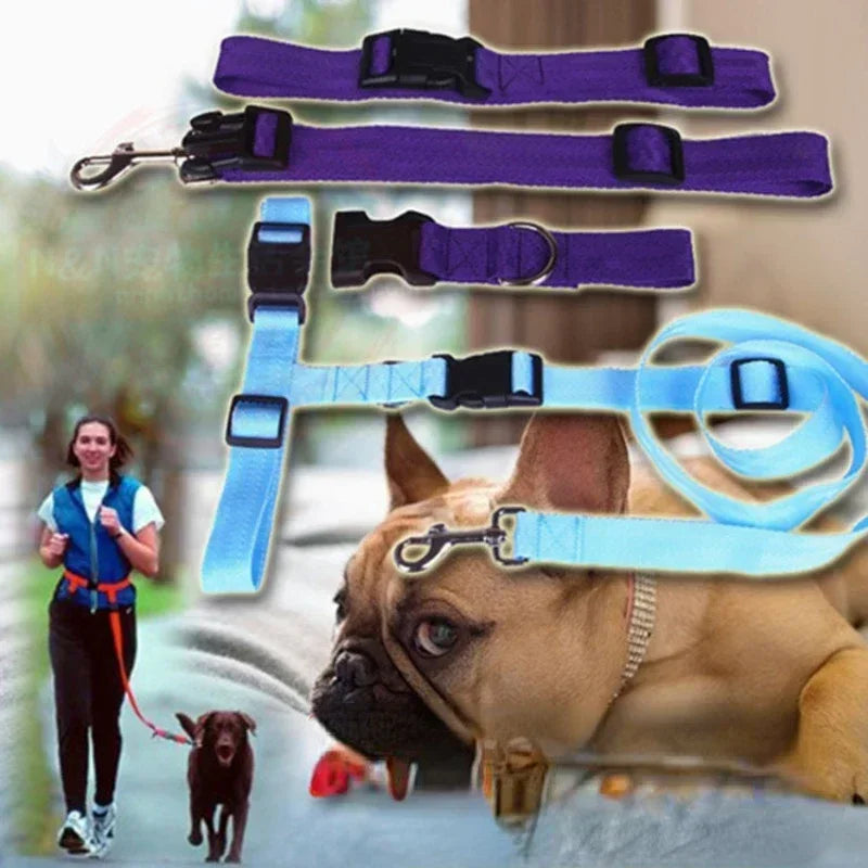 CN Guangdong Adjustable Dog Cat Leash Jogging Belt Lead WeatherproofHeavyDutyNylon