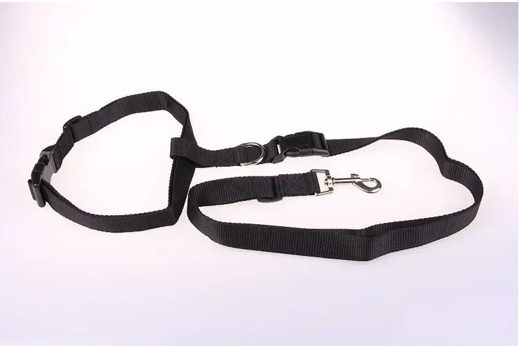 CN Guangdong Adjustable Dog Cat Leash Jogging Belt Lead WeatherproofHeavyDutyNylon