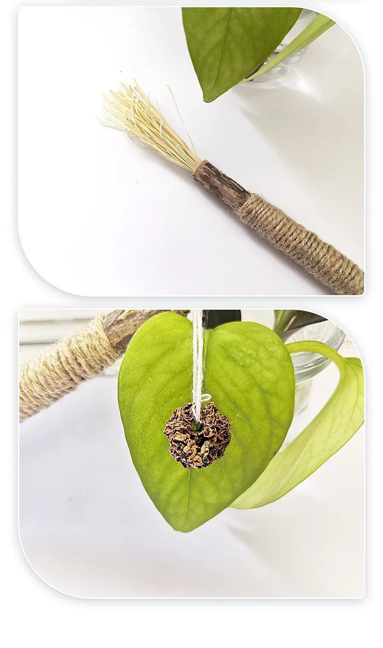 CN Silvervine Cat Chew Sticks Natural Dental Toy For Kittens