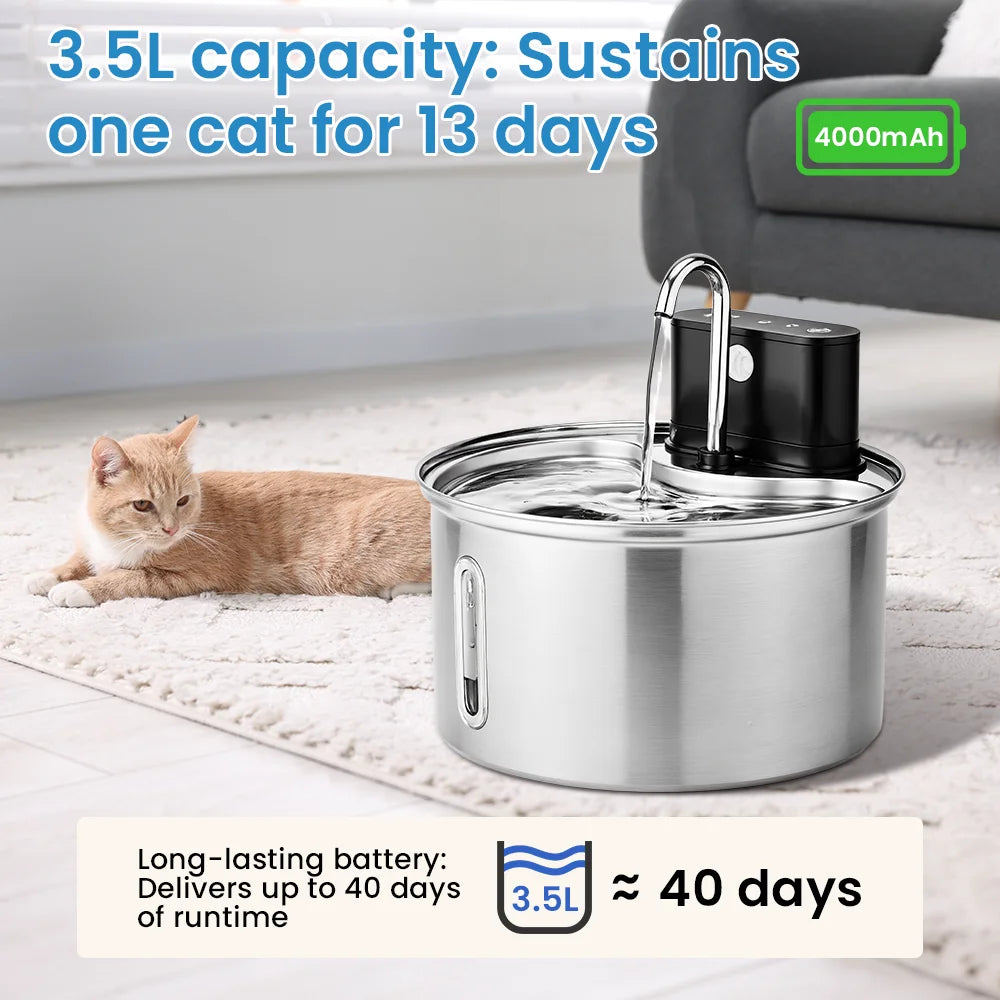 Cityflee Stainless Steel Cat Water Fountain Sensor And Smart Dispenser