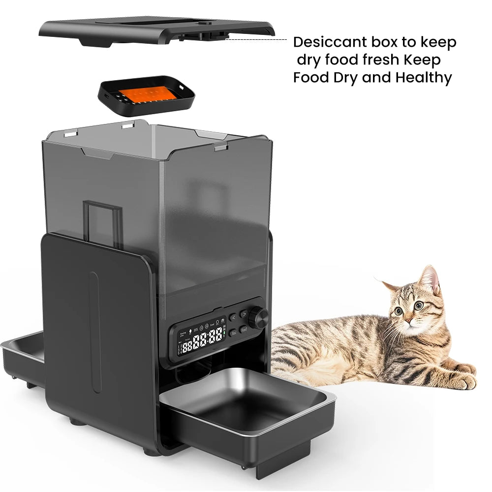 Cityflee Smart Pet Feeder Automatic With Timed Feeding