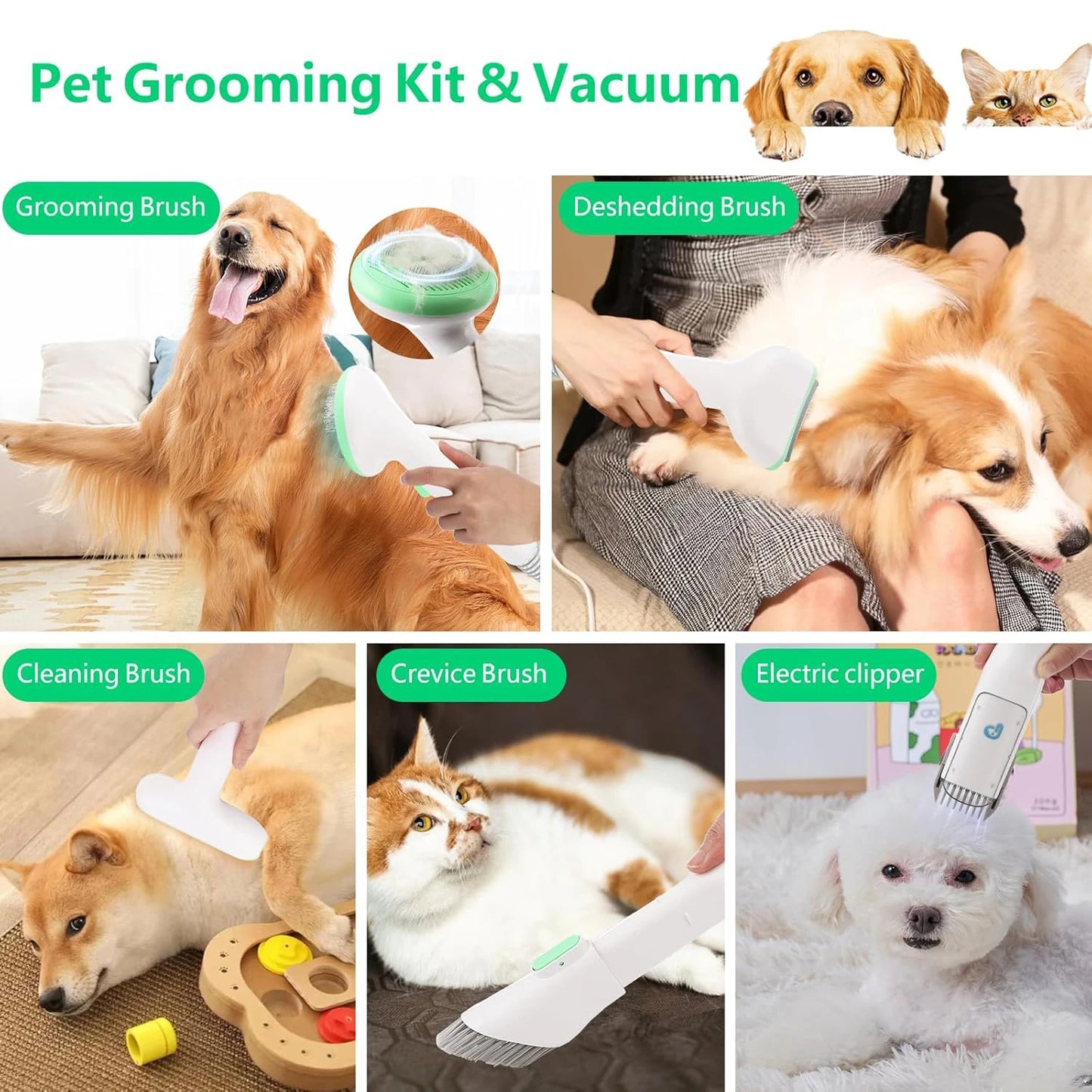 DishyKooker Pet Grooming Kit With 2L Vacuum Suction Tools