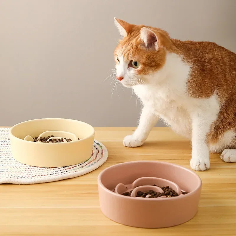 Ceramic Slow Feeder Pet Bowl For Cats And Dogs Anti Choke