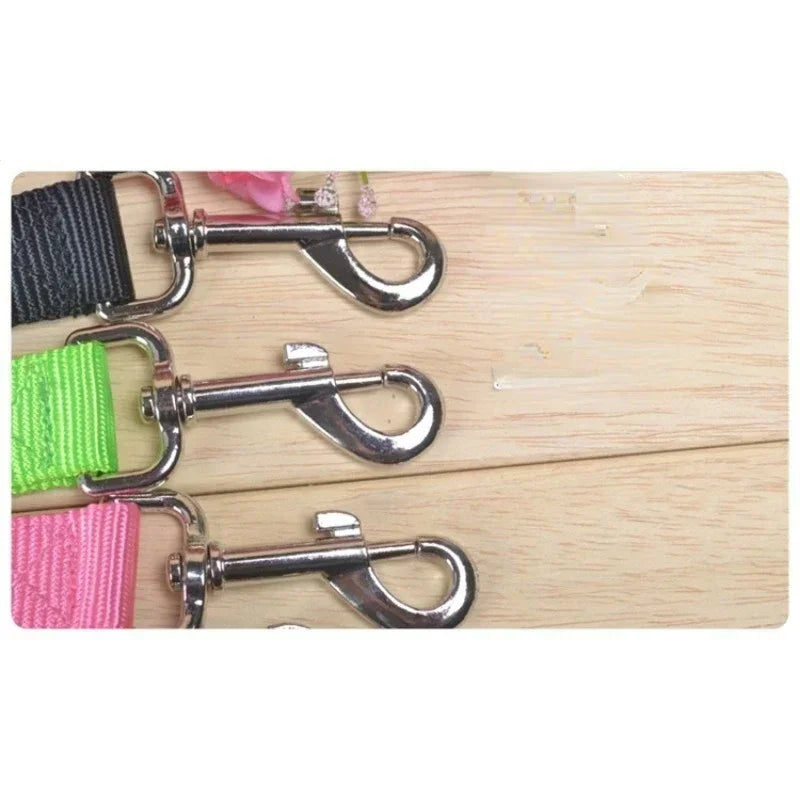 CN Guangdong Adjustable Dog Cat Leash Jogging Belt Lead WeatherproofHeavyDutyNylon