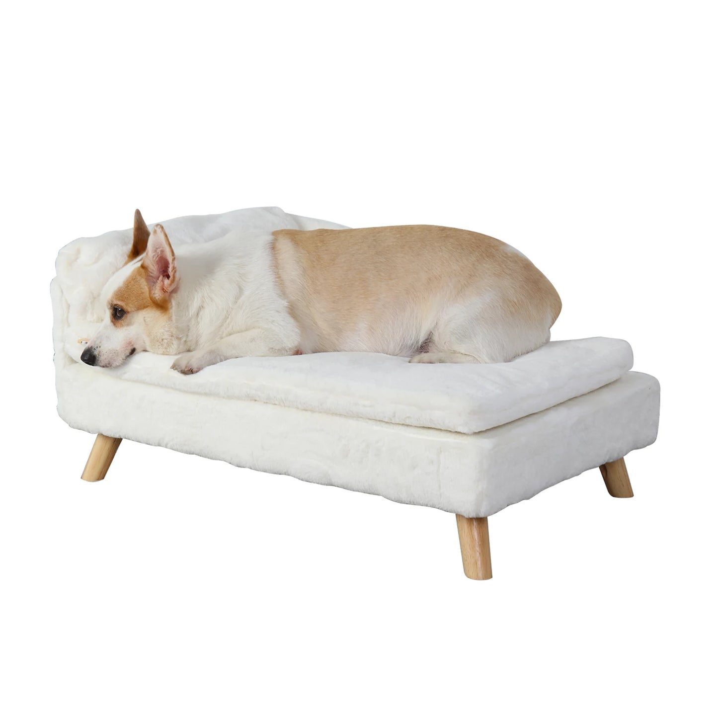 BINGOPAWCN Elevated Nordic Pet Stool Bed With Cozy Pad