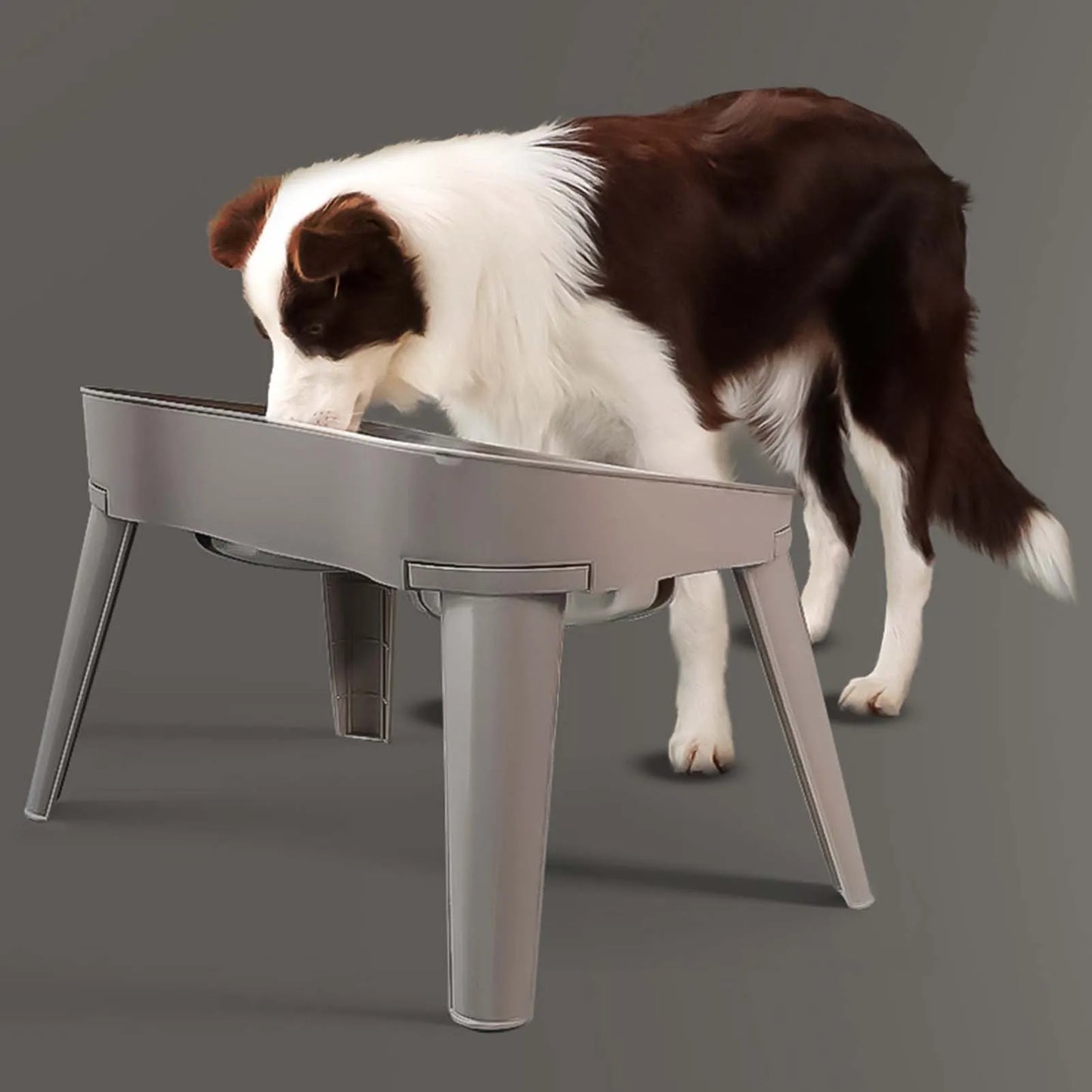 Hign-concerned Elevated Dog Feeder Stainless Steel No Spill Design
