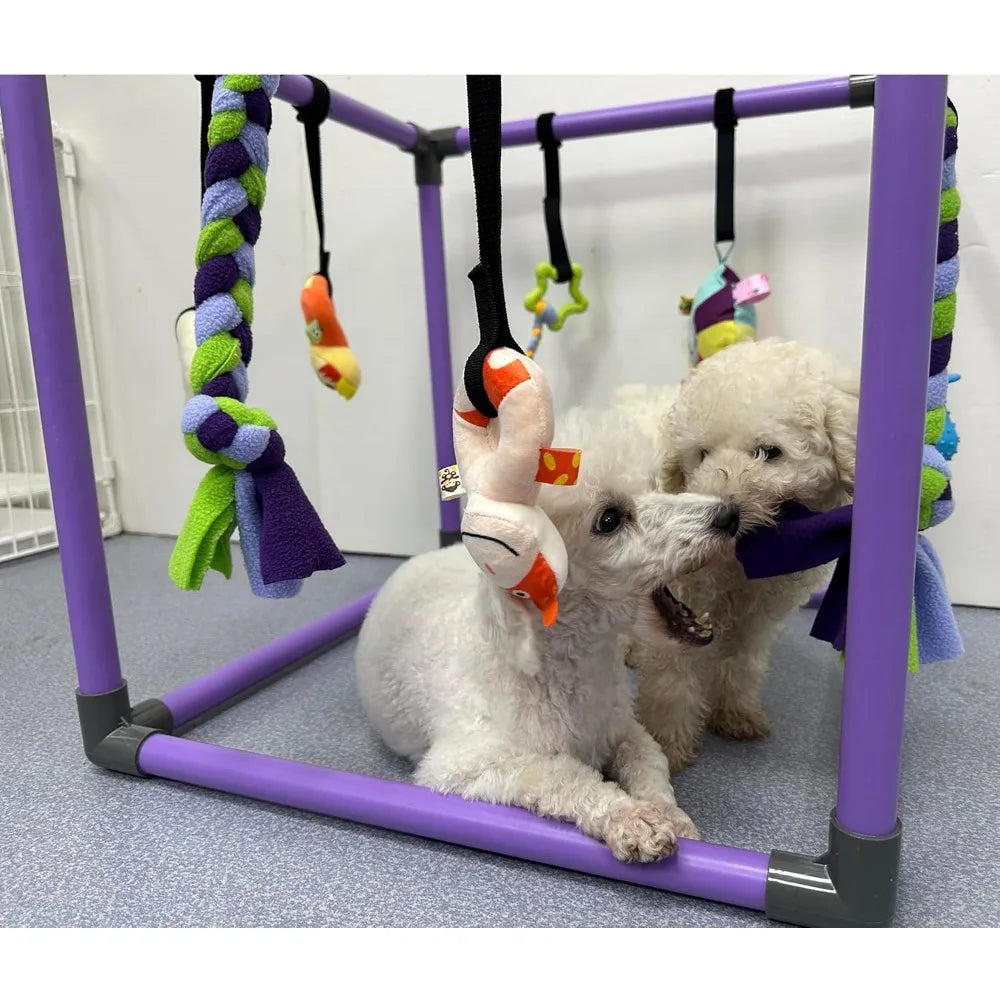 Hign-concerned Puppy Play Gym With Hanging Toys For Small Dogs