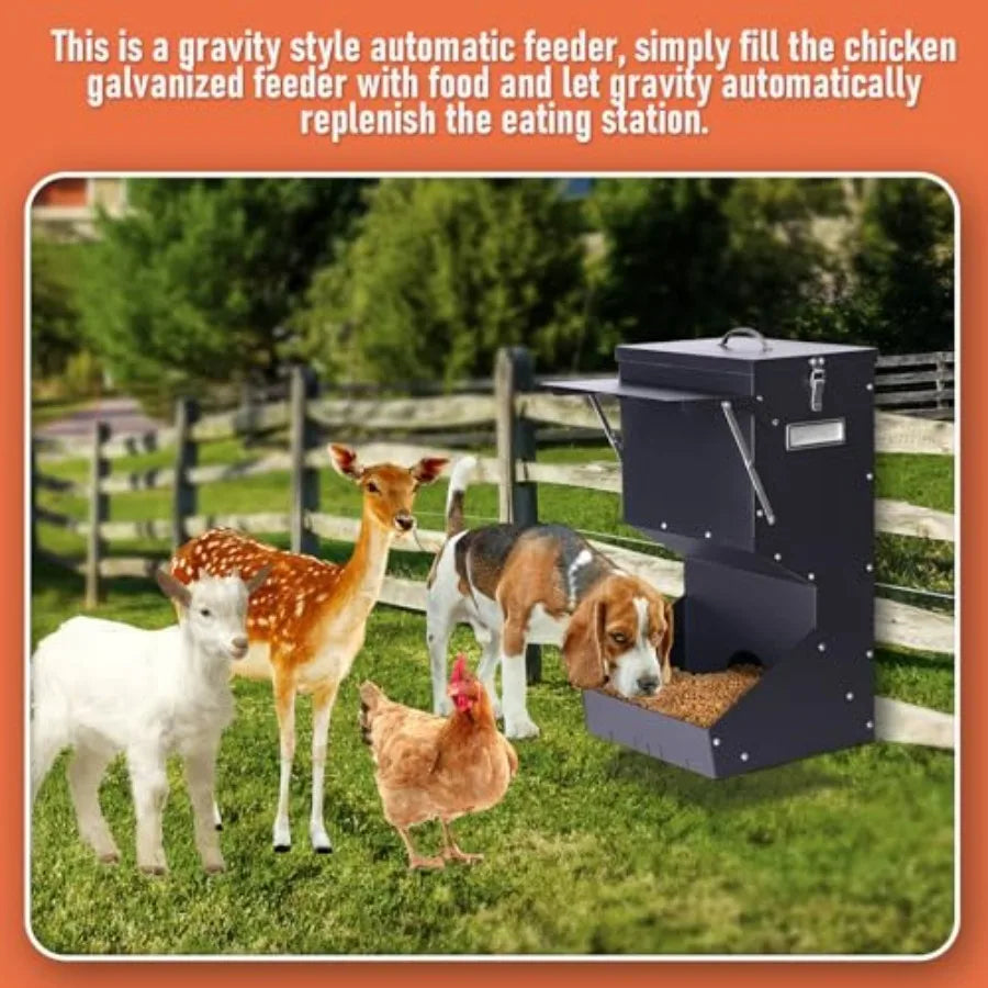 Hign-concerned Outdoor Automatic Dog Feeder Galvanized