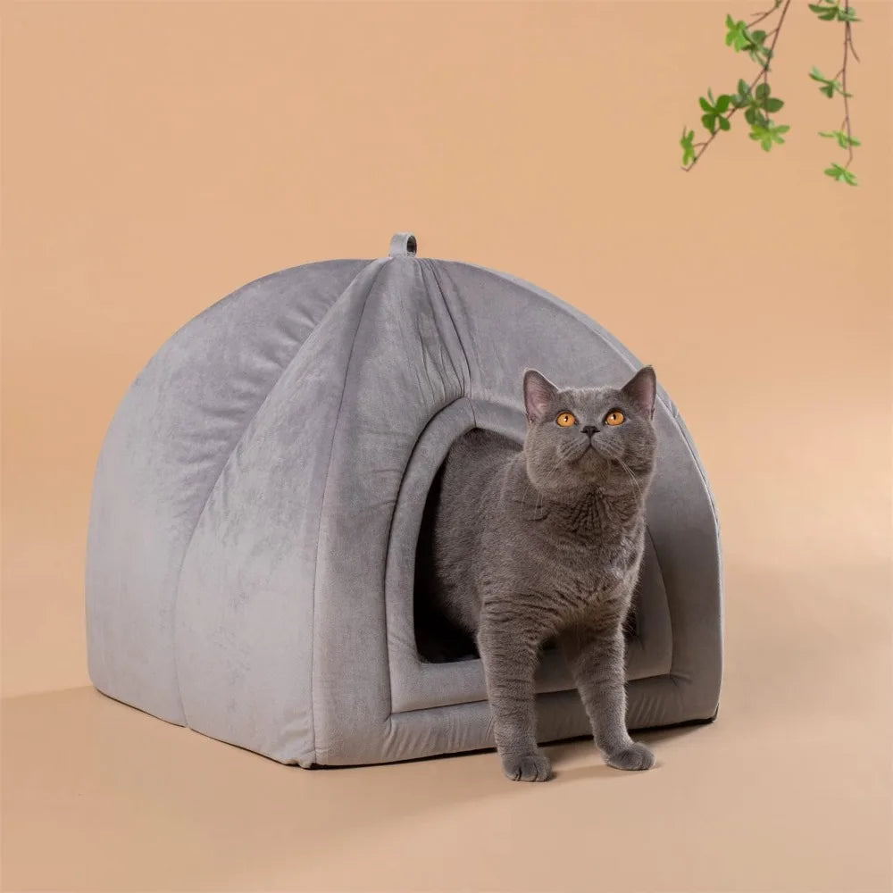 2 in 1 Cat House Bed for Indoor Cats