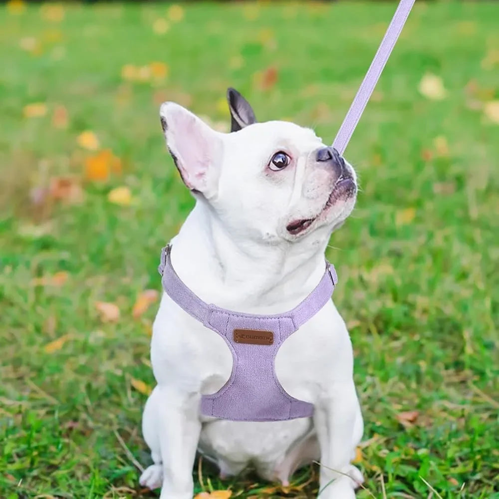 XMSJ No Pull Dog Harness Leash Set Soft Small Dogs