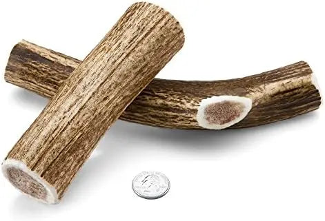 Flavor Elk Antler Dog Chew 2 Pack Grade A Premium USA Made
