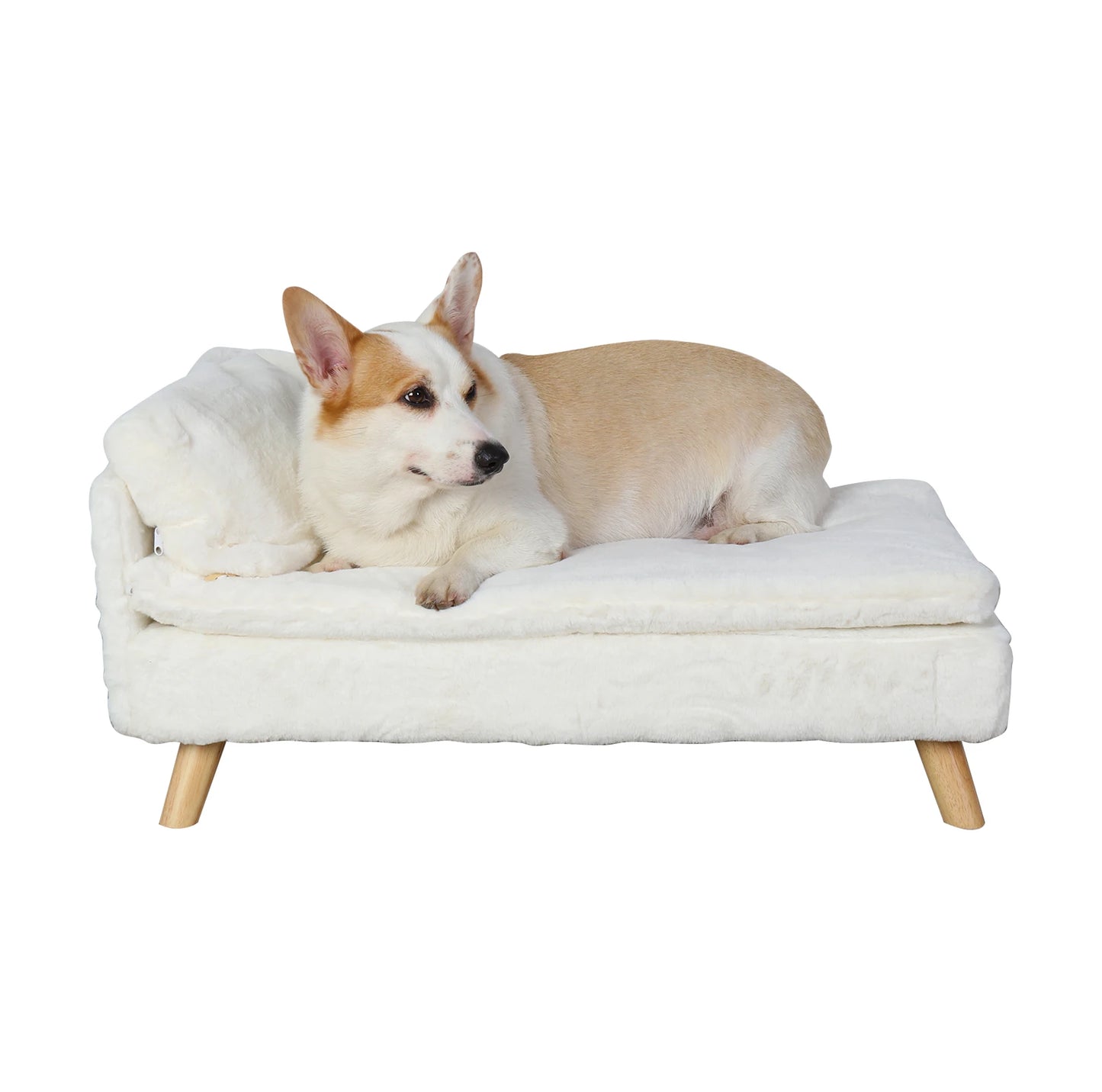 BINGOPAWCN Elevated Nordic Pet Stool Bed With Cozy Pad