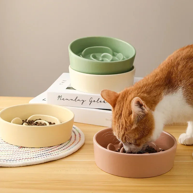 Ceramic Slow Feeder Pet Bowl For Cats And Dogs Anti Choke