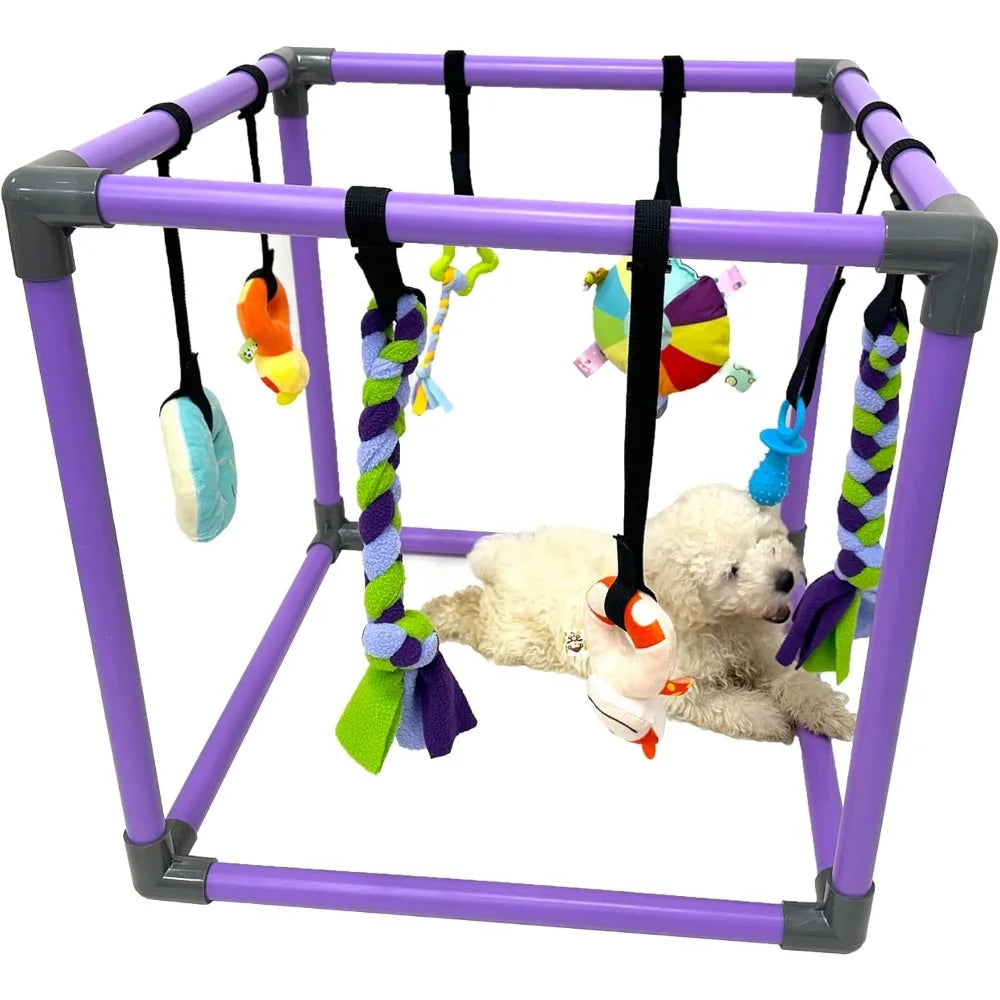 Hign-concerned Puppy Play Gym With Hanging Toys For Small Dogs
