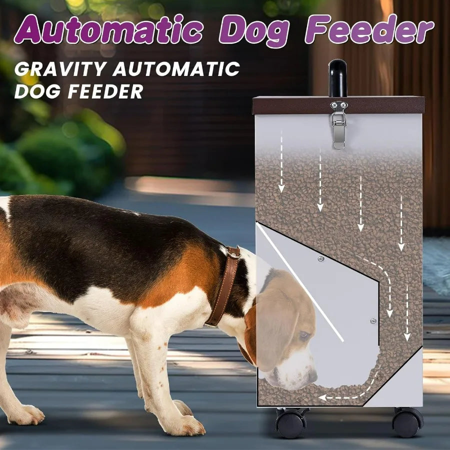 Hign-concerned Outdoor Automatic Dog Feeder For Large Breed