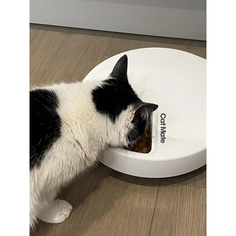 Hign-concerned C500 Automatic Pet Feeder With Ice Packs