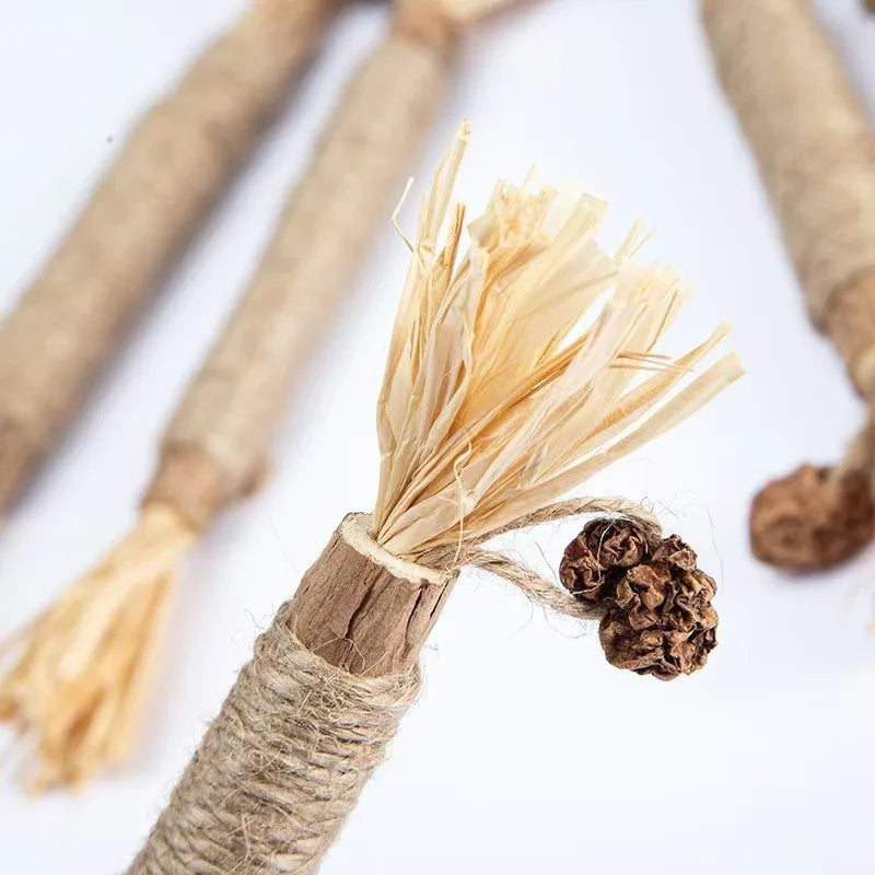 CN Silvervine Cat Chew Sticks Natural Dental Toy For Kittens